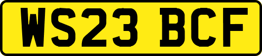 WS23BCF