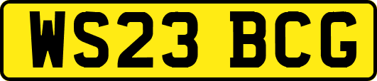 WS23BCG