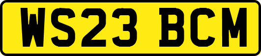 WS23BCM