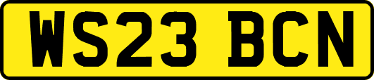 WS23BCN
