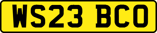 WS23BCO