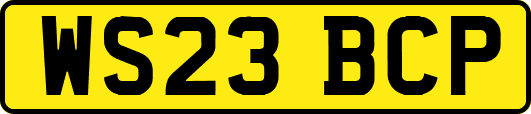 WS23BCP