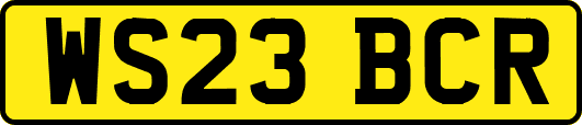 WS23BCR