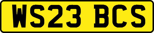 WS23BCS