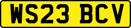 WS23BCV