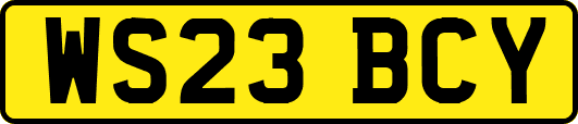WS23BCY
