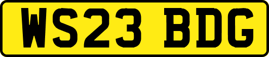 WS23BDG