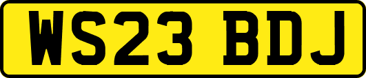 WS23BDJ