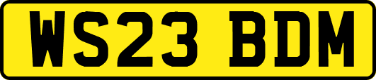 WS23BDM