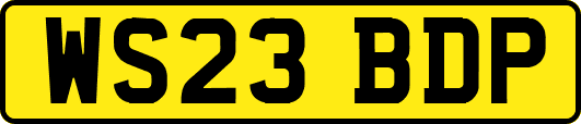 WS23BDP