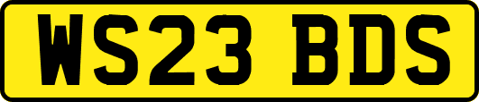 WS23BDS