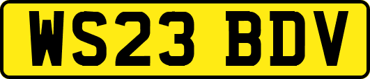 WS23BDV