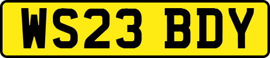 WS23BDY