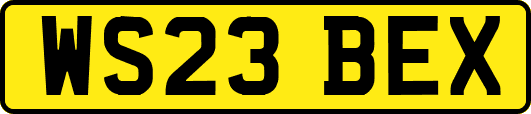 WS23BEX