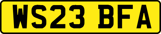WS23BFA