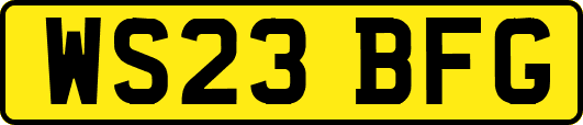 WS23BFG