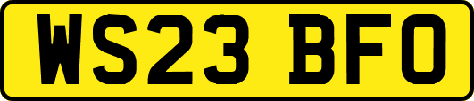 WS23BFO