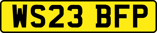 WS23BFP