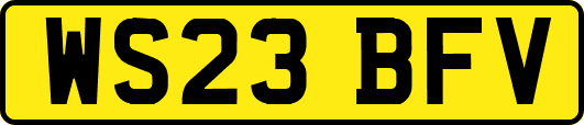 WS23BFV