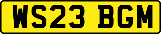 WS23BGM