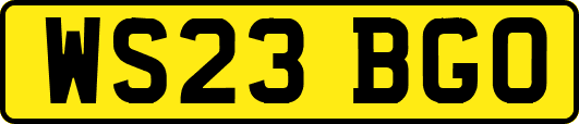 WS23BGO