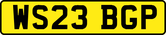 WS23BGP