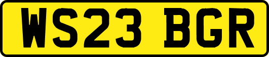 WS23BGR