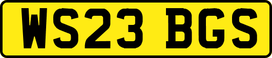 WS23BGS