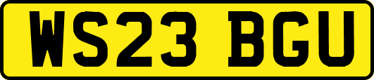 WS23BGU