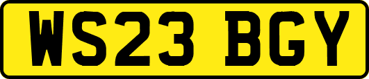 WS23BGY