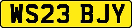 WS23BJY