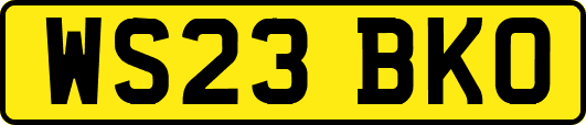 WS23BKO