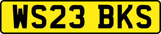 WS23BKS