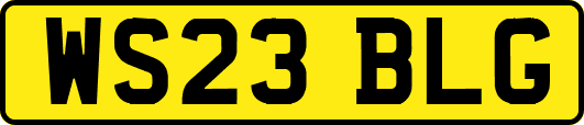 WS23BLG