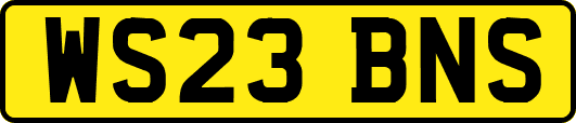 WS23BNS