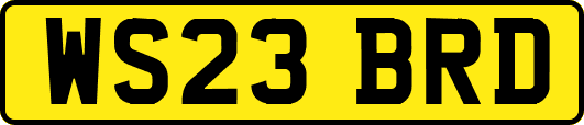 WS23BRD