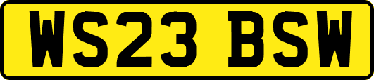WS23BSW