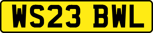 WS23BWL