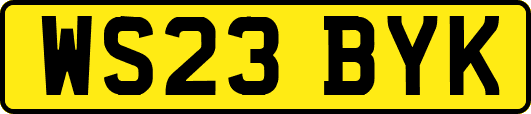 WS23BYK