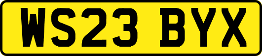 WS23BYX