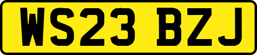 WS23BZJ