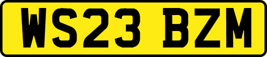 WS23BZM