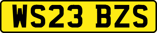WS23BZS