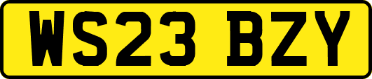 WS23BZY