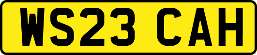 WS23CAH