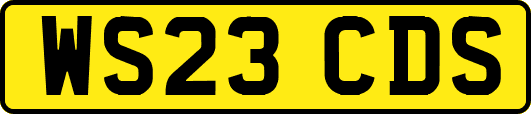 WS23CDS