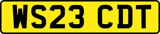 WS23CDT