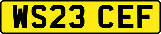 WS23CEF