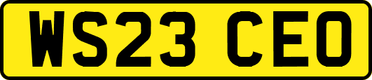 WS23CEO