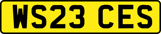 WS23CES
